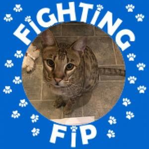 Meet your Posher, Vicki